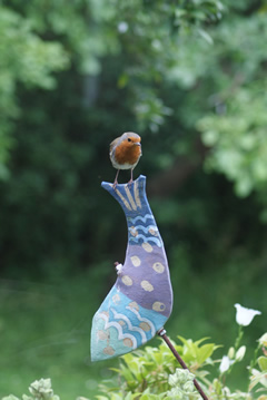 Robin looking for more insects Robin looking for more insects